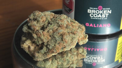 Broken Coast Cannabis Galiano at Farmer Jane