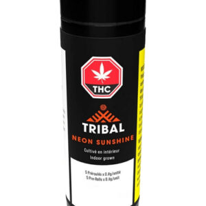 Tribal - Neon Sunshine - Pre-Roll