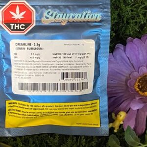 Staycation - Dreamline - Flower