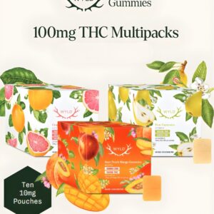 WYLD - Real Fruit Multi-Pack - Gummy