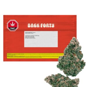 Back Forty - Liquid Imagination - Bulk Flower