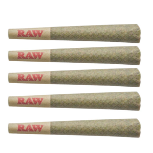 Orchid CBD - CBD Runtz Pre Rolls