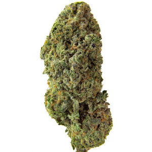 Clone Homestead - Bandwagon Sativa (Rotating) - Flower - 28g