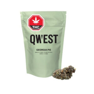 Qwest - Georgie Pie - Flower