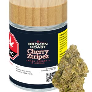 Broken Coast - Cherry Ztripez - Flower